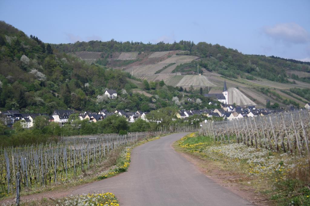 Weingut Goeres Hotell Briedel Eksteriør bilde